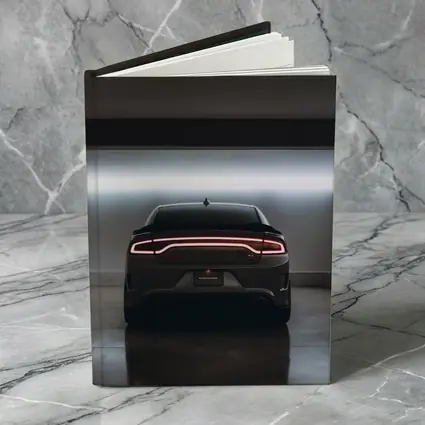 Dodge Charger Rear View Underground Parking