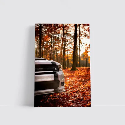 Dodge Durango RT White Autumn Forest