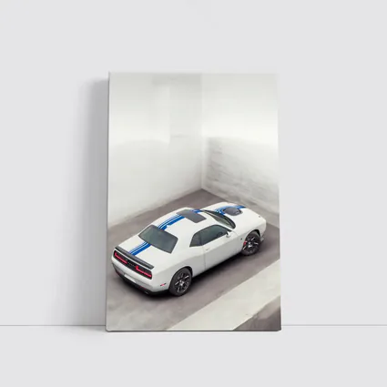 Dodge Challenger White Blue Stripes Garage