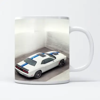 Dodge Challenger White Blue Stripes Garage