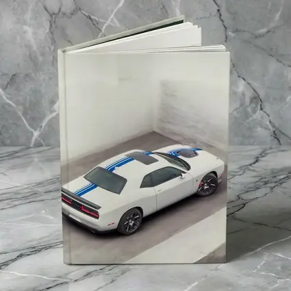 Dodge Challenger White Blue Stripes Garage