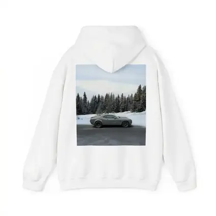 Dodge Challenger Gray Muscle Car Winter Forest
