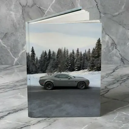 Dodge Challenger Gray Muscle Car Winter Forest