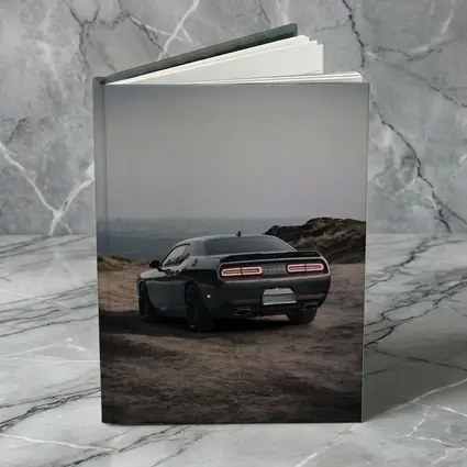 Dodge Challenger Dark Rear View Overcast Sky