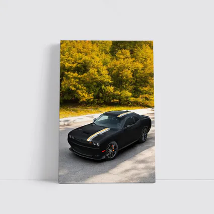 Dodge Challenger Black Muscle Car Autumn Trees