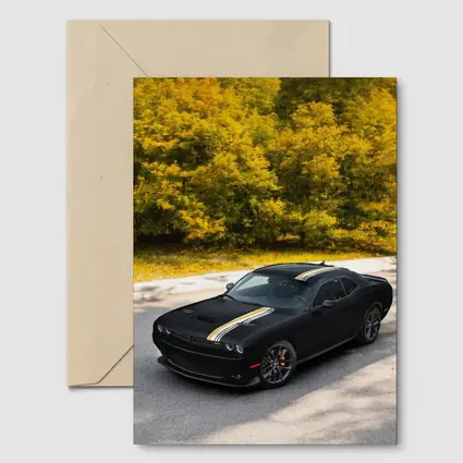 Dodge Challenger Black Muscle Car Autumn Trees