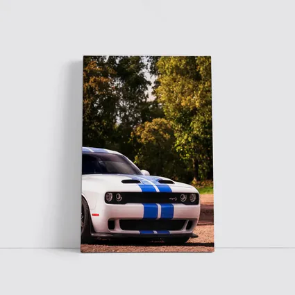 Dodge Challenger SRT White Blue Stripes Forest