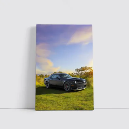 Dodge Challenger Black Muscle Car Green Field