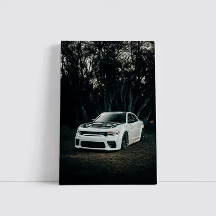 Dodge Charger White Muscle Car Dark Forest