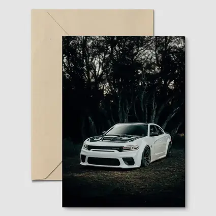 Dodge Charger White Muscle Car Dark Forest
