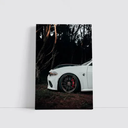 Dodge Charger White Muscle Car Dark Forest
