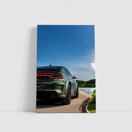 Dodge Charger Green Rear View Lakeside