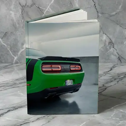 Dodge Challenger Green Rear Parking Garage
