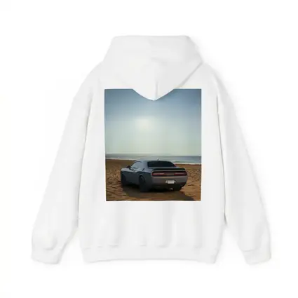 Dodge Challenger Gray Rear View Beach