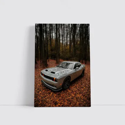 Dodge Challenger Silver Car Autumn Forest