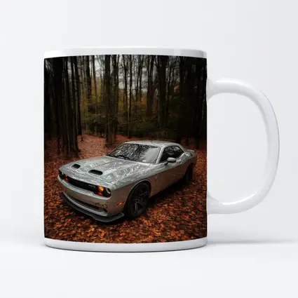Dodge Challenger Silver Car Autumn Forest
