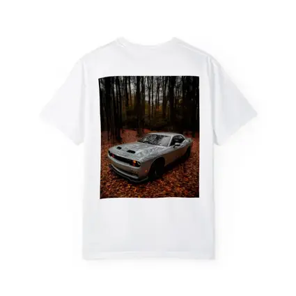 Dodge Challenger Silver Car Autumn Forest