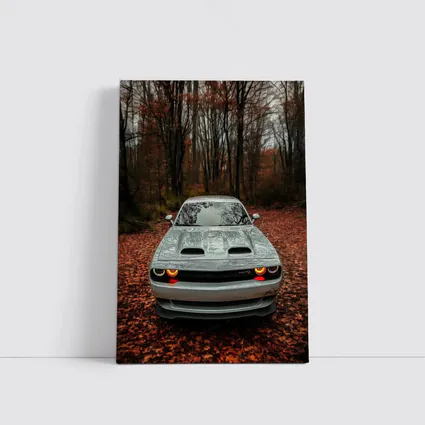 Dodge Challenger Gray Muscle Car Autumn Forest
