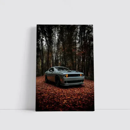 Dodge Challenger Silver Car Autumn Forest