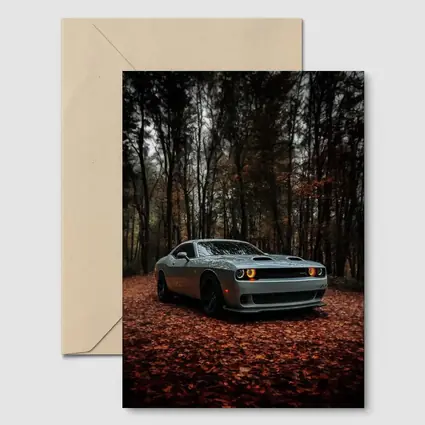 Dodge Challenger Silver Car Autumn Forest