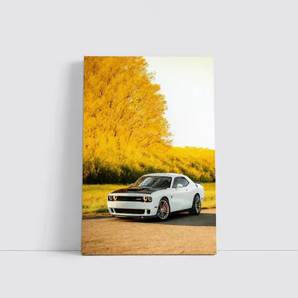 Dodge Challenger SRT White Autumn Yellow Trees