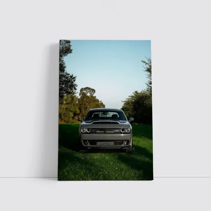 Dodge Challenger Parked on Green Grass