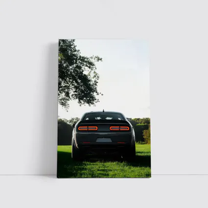 Dodge Challenger Rear View Green Field