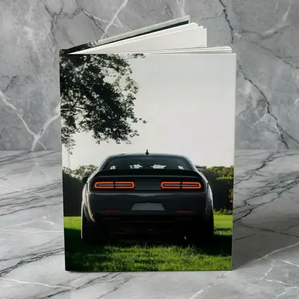 Dodge Challenger Rear View Green Field