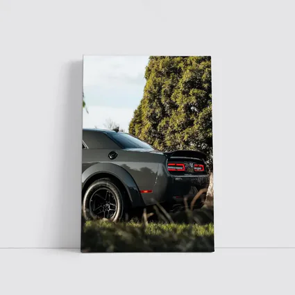 Dodge Challenger Rear View Green Trees