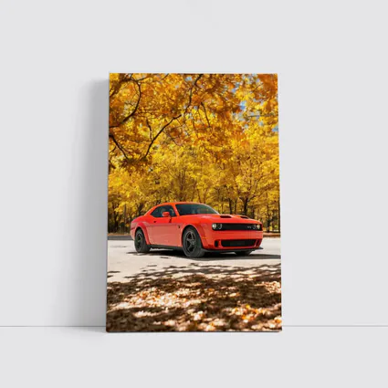 Dodge Challenger Red Muscle Car Autumn Park