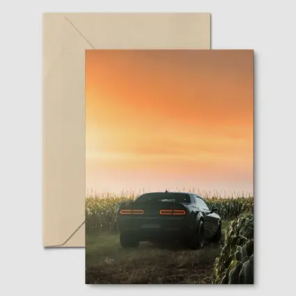 Dodge Challenger Black Muscle Car Cornfield Sunset