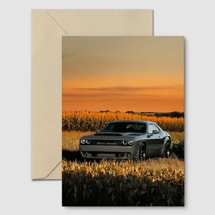 Dodge Challenger Hellcat Golden Field Sunset