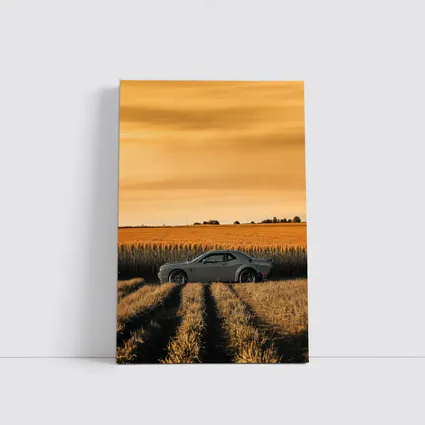 Dodge Challenger Parked in Golden Wheat Field