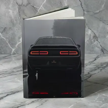 Dodge Challenger Rear View Foggy Rainy Road