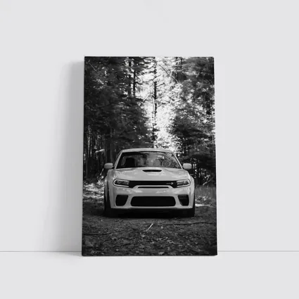 Dodge Charger Front View Forest Black White
