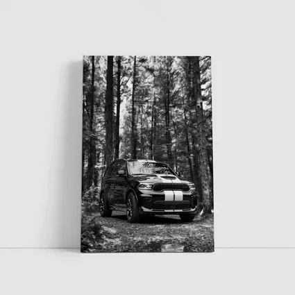 Dodge Durango Black White Forest Trail