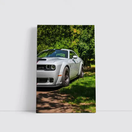 Dodge Challenger SRT Silver Muscle Car Green Park