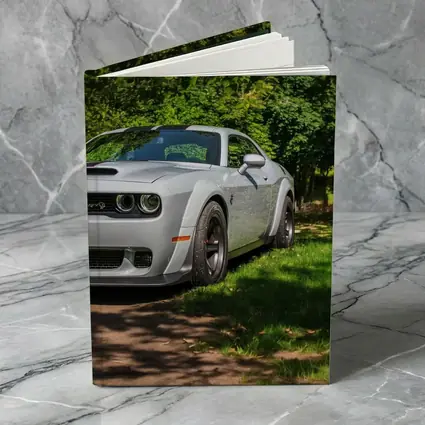 Dodge Challenger SRT Silver Muscle Car Green Park