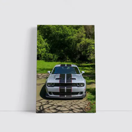 Dodge Challenger Widebody Silver Racing Stripes Park