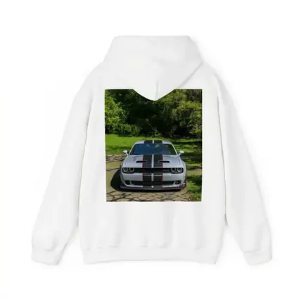 Dodge Challenger Widebody Silver Racing Stripes Park