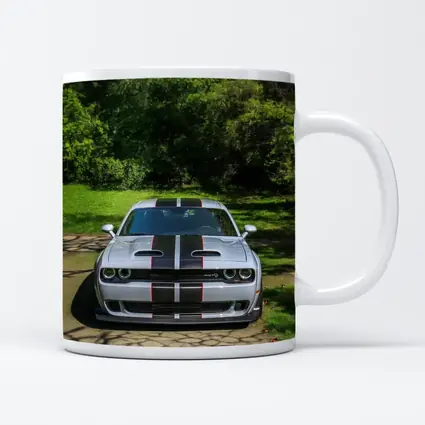 Dodge Challenger Widebody Silver Racing Stripes Park
