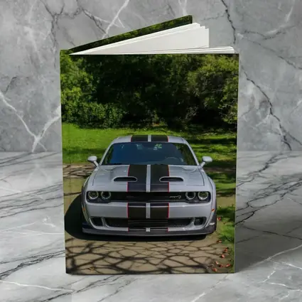 Dodge Challenger Widebody Silver Racing Stripes Park