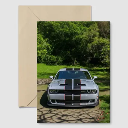 Dodge Challenger Widebody Silver Racing Stripes Park