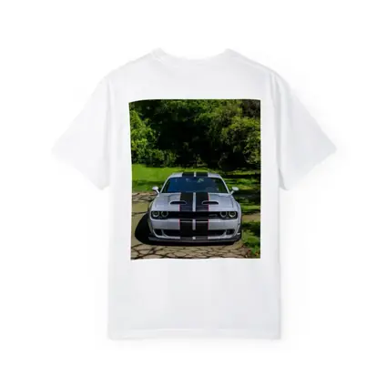 Dodge Challenger Widebody Silver Racing Stripes Park