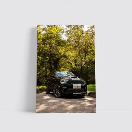 Dodge Durango Black SUV Forest Setting