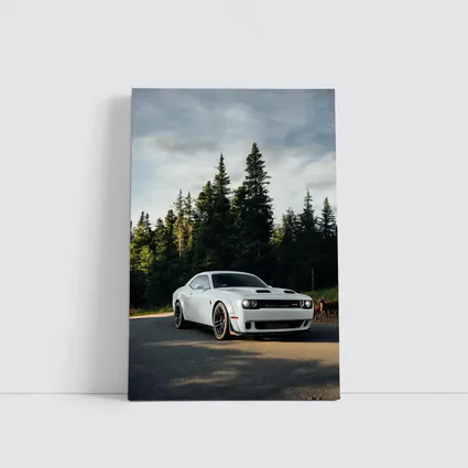 Dodge Challenger Hellcat White Forest Road