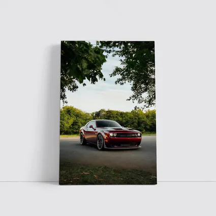 Dodge Challenger Hellcat Parked Under Trees