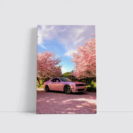 Dodge Challenger Pink Under Cherry Blossom Trees