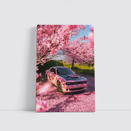 Dodge Challenger Pink Under Cherry Blossom Trees