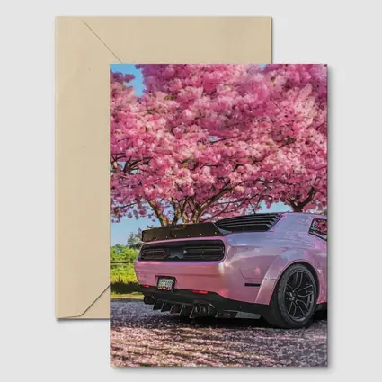 Pink Dodge Challenger Under Blooming Sakura Tree